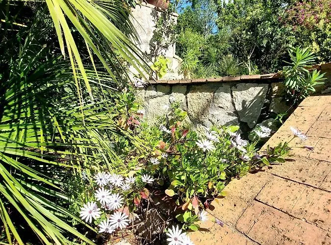 Authentic Oasis - La Solara Anacapri (Isola di Capri)