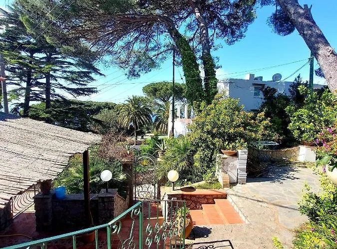 Authentic Oasis - La Solara *